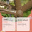 Water Based Metal Rust & Corrosion Resistant Primer 13