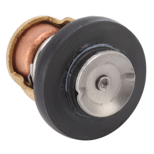 Außenbordmotor Thermostat 50 Grad Celsius Boot 1