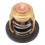 Außenbordmotor Thermostat 50 Grad Celsius Boot 5