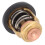 Außenbordmotor Thermostat 50 Grad Celsius Boot 4