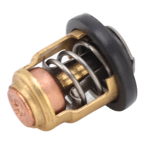 Außenbordmotor Thermostat 50 Grad Celsius Boot 2