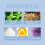 Fresh Breath Mouth Spray for Clean Teeth 5