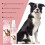 Dog Anti-Chew Spray: Bitter Taste Stops Chewing 9