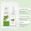 Ampfer Beruhigendes Reparatur-Serum 10