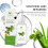Ampfer Beruhigendes Reparatur-Serum 12