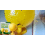 Sticky Fly Bug Trap Ball, Indoor/Outdoor 7