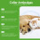 Pet Repellent Collar for Lice, Ticks, Fleas & Eggs 13