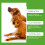 Pet Repellent Collar for Lice, Ticks, Fleas & Eggs 3