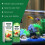 Aquarium Water Purification Tablets for Algae & Sludge Removal 3