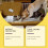 Anti-Chew Spray for Pets - Bitter, Prevents Sofa Scratching 3