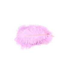 Pack of 10 Bird Feathers Craft Feathers Feather Mask Feathers Decorative Feathers Ostrich Feathers 20 CM/Bouquet Natural Lilac 462h