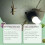 Indoor Gecko Repeller Spray 3