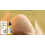 Fußpflege-Öl: Peeling & Pflege für Fersen 7