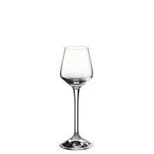 vivid Fruit Glass Set of 6 Dishwasher Safe Shot Glass 100 ml Height 17 cm 042969 Fruit jar 100 ml