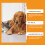Pet Deodorant Gel, Mild Ingredients Fresh Air 12