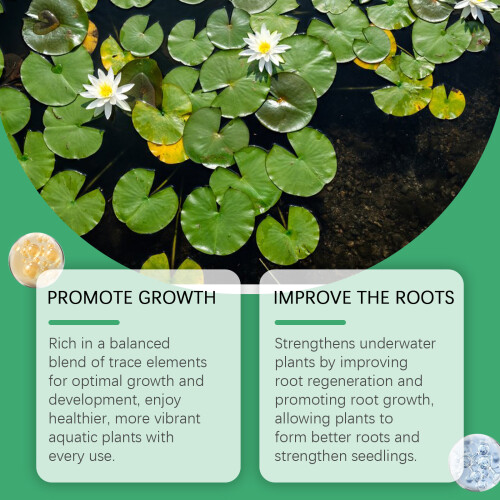 Bowl Lotus Flower Powder Hydroponic Flowering Fertilizer 2