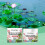 Bowl Lotus Flower Powder Hydroponic Flowering Fertilizer 9