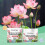 Bowl Lotus Flower Powder Hydroponic Flowering Fertilizer 2