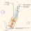 Herbal Joint Nasal Spray: Eases Discomfort, Improves Flexibility 4