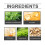 Herbal Care Patch for Gentle Discomfort Relief 5