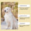 Hundekatzentoiletten-Spray, Indoor/Outdoor 10
