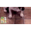 Hundekatzentoiletten-Spray, Indoor/Outdoor 7