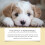 Hundekatzentoiletten-Spray, Indoor/Outdoor 4