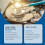 Anti-Rust Converter for Metal Surfaces, Rust Treatment Cleaner 4