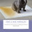 Dog Potty Training Spray, Indoor/Outdoor 13