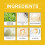 Tai Chi Joint Relief Patch Wormwood 5