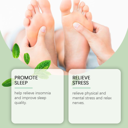 Wormwood Bamboo Vinegar Foot Patch 2