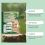 Wormwood Bamboo Vinegar Foot Patch 11