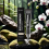 Firming Eye Concealer for Brightening & Oil Control 15