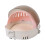 Cats Carriers Backpacks Transparents Panoramic Window-Pink 1