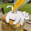 Cats  Bread Clip With Secure Paper Hold Space Saving 5