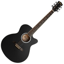 TIGER ACG1-BK-SM Acoustic Steel String Parlour Guitar - Matte Charcoal