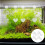 12 Unidades Betta Decoração 11