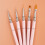Ensemble de pinceaux de manucure Nail Art, 5 pièces,-Rose 5
