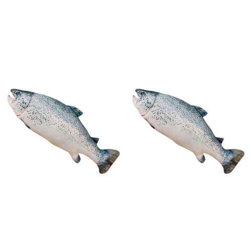 2 Unidades Decorativa Pelúcia Confortável Para Presente 1