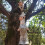 Gnome Decoration Tree Hugger Statue Garden Figurine for Tree 5