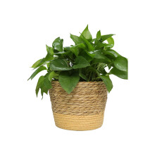 Basket Planters Flower Pots Cover Storage Basket Plant-Medium
