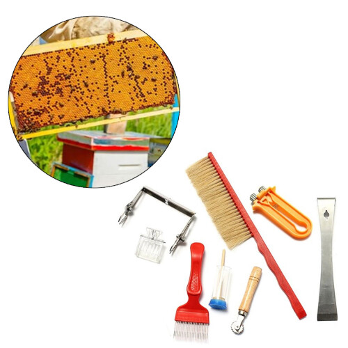 Beekeeping Supplies Bees Hives Equipment Bees Keeping Starter 1