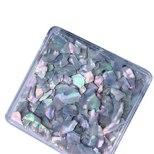 Kleurrijke Shell Nail Art Slices 3D Nail Art Flakes-zilvergrijs
