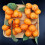 Simulation Loquat Kunststoff gefälschte Obst Modell künstliche 7