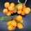 Simulation Loquat Kunststoff gefälschte Obst Modell künstliche 5