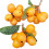 Fruit de nèfle artificiel, faux nèfle, Simulation de nèfle, 2