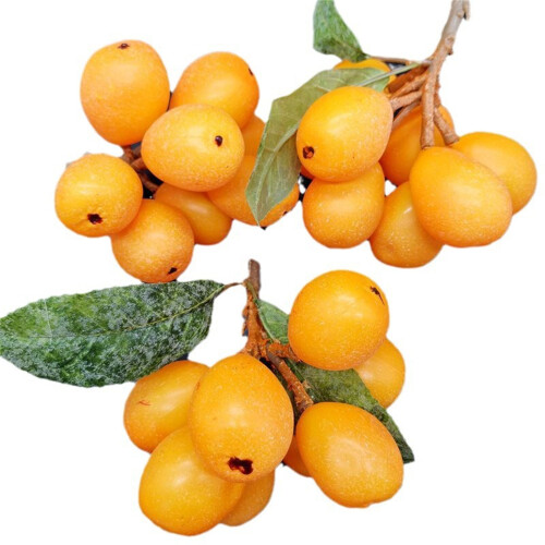 Fruit de nèfle artificiel, faux nèfle, Simulation de nèfle, 1
