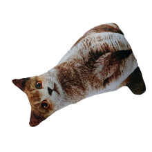3D-Tierdruck-Wurfkissen-Kissenspielzeug für Kinder-graue Katze