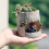 Durable Flower Pot Succulent Planters for Balcony-Hedgehog 6