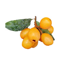 Gefälschte Loquat Künstliche Loquat Dekorationen Simulation